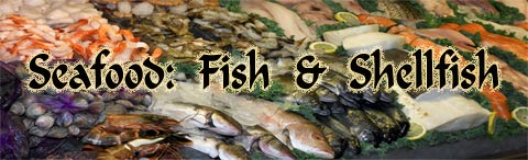 Seafood: Fish & Shellfish Page Header