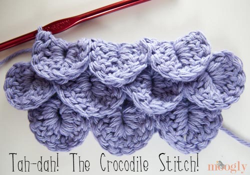 Crocodile Stitch