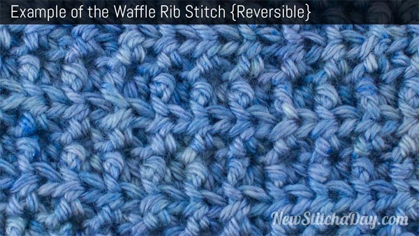 Waffle Rib Stitch