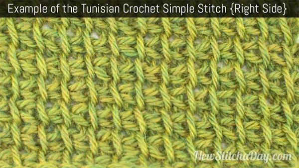 Tunisian Simple Stitch