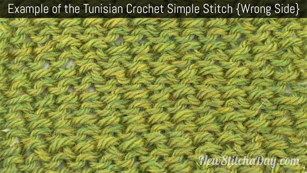 Tunisian Simple Stitch