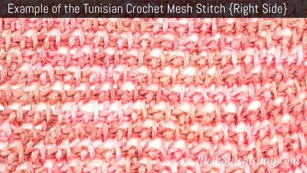 Tunisian Mesh Stitch
