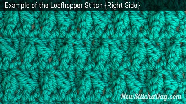 Leafhopper