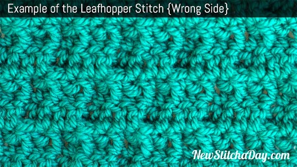 Leafhopper