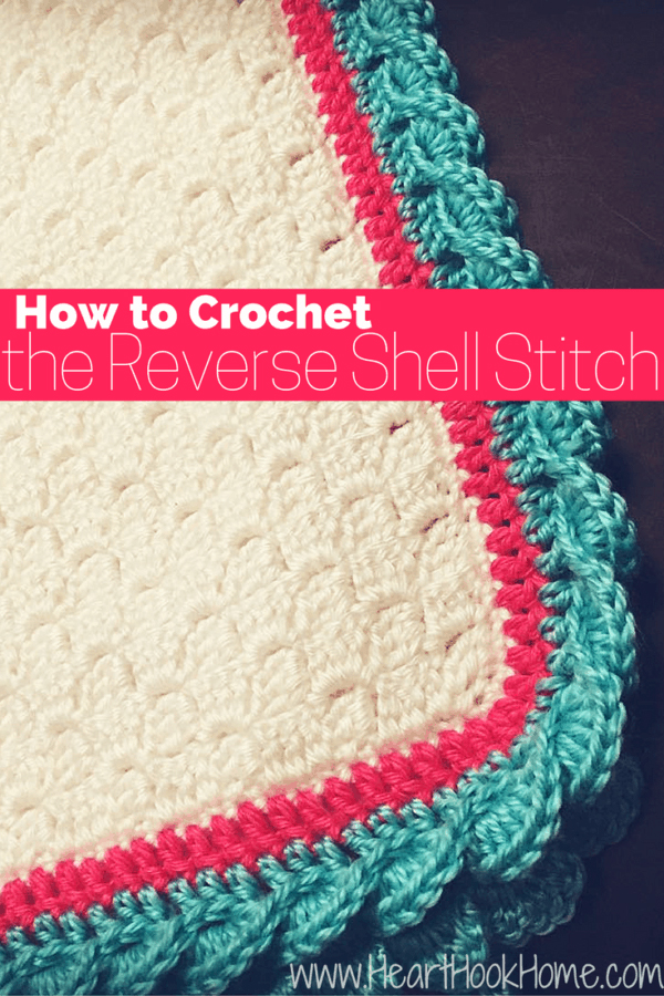 Reverse Shell Border